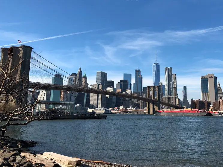 NY