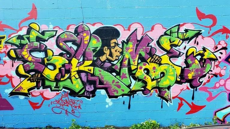 Arte en las calles del Bronx