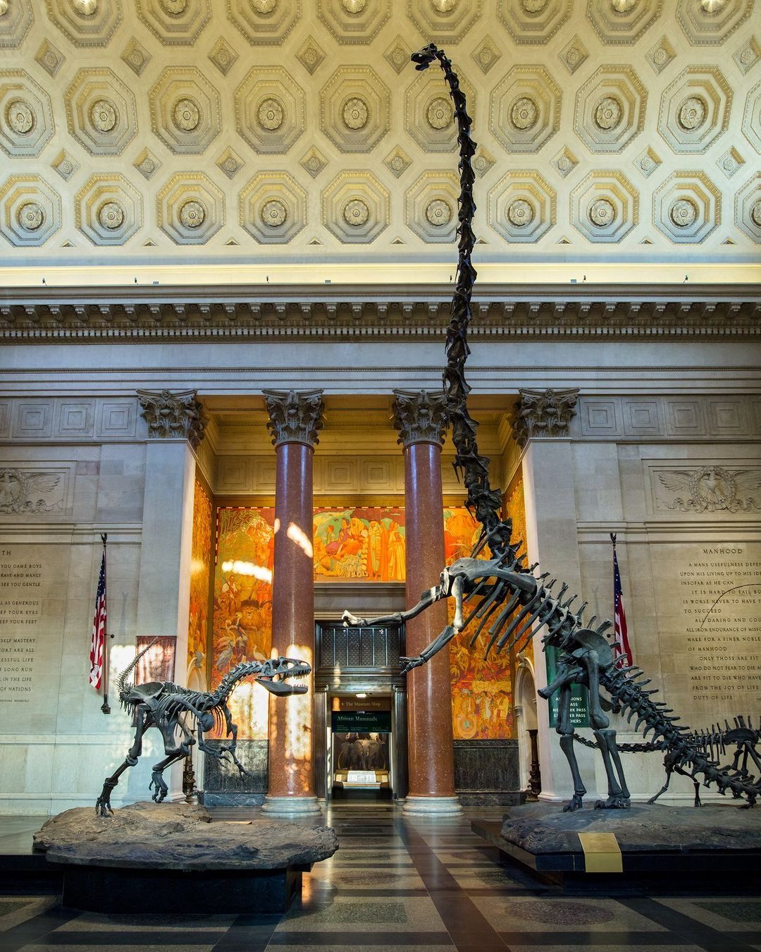 American Museum of Natural History
